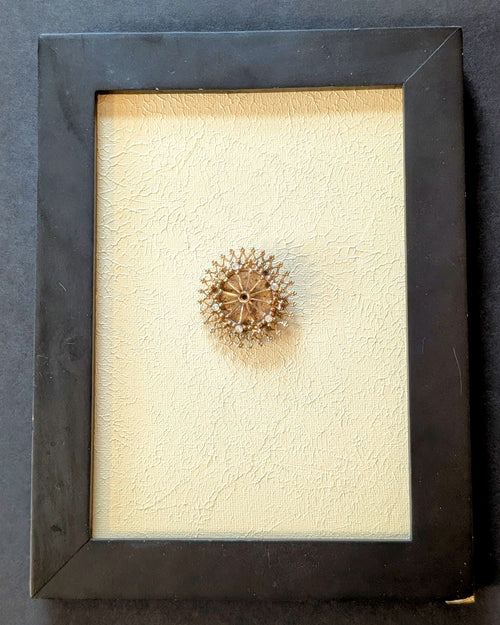 Brooch # 8 (5 x 7 in)